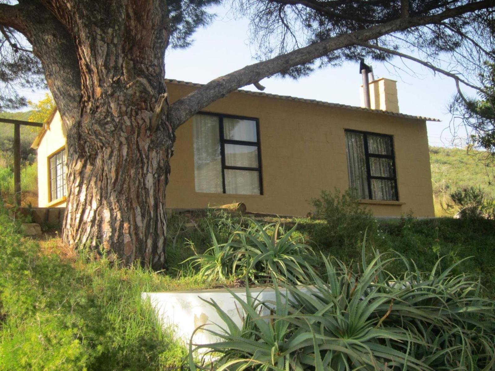 Swaynekloof Farm Villa Botrivier Bilik gambar